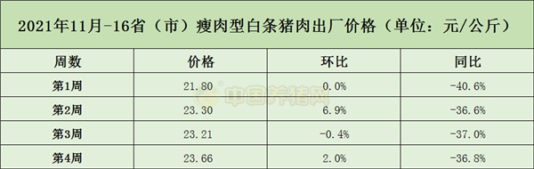 中国养猪网