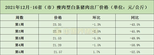 中国养猪网