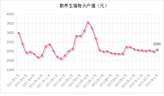 中国养猪网