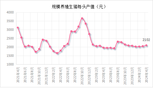 中国养猪网