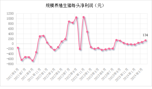 中国养猪网