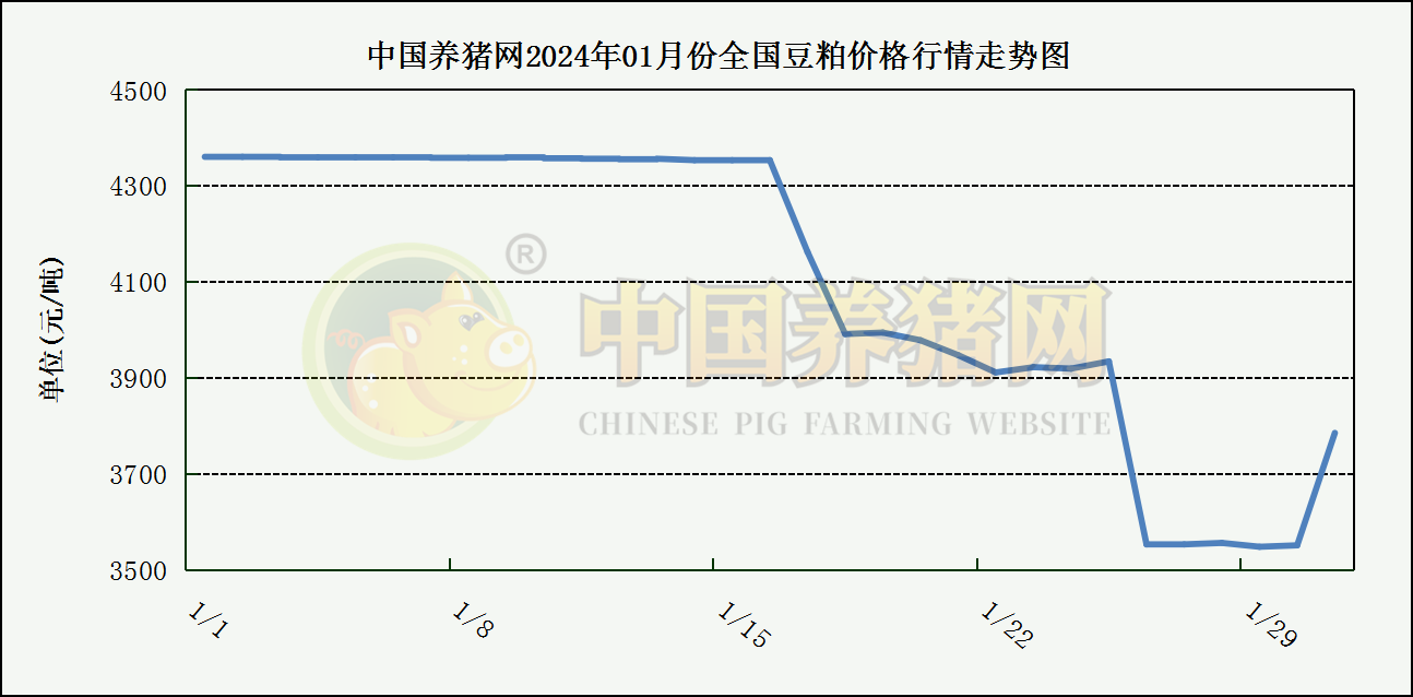 中国养猪网