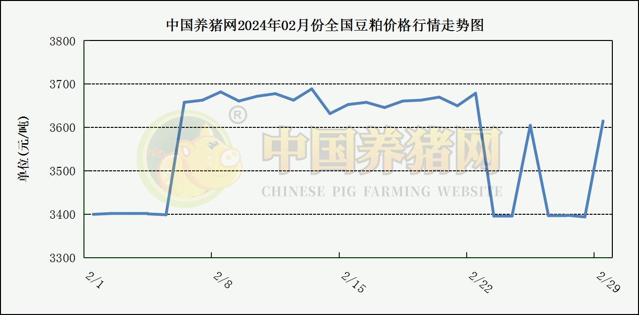 中国养猪网