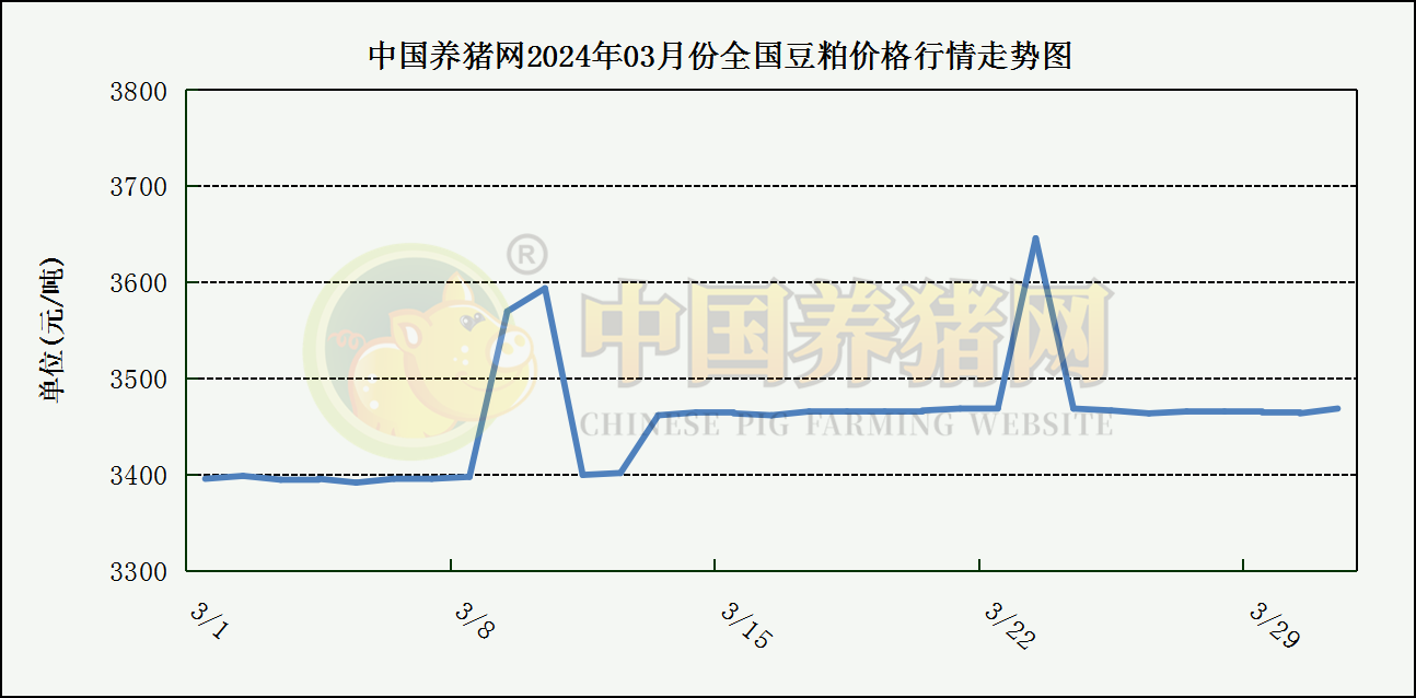 中国养猪网