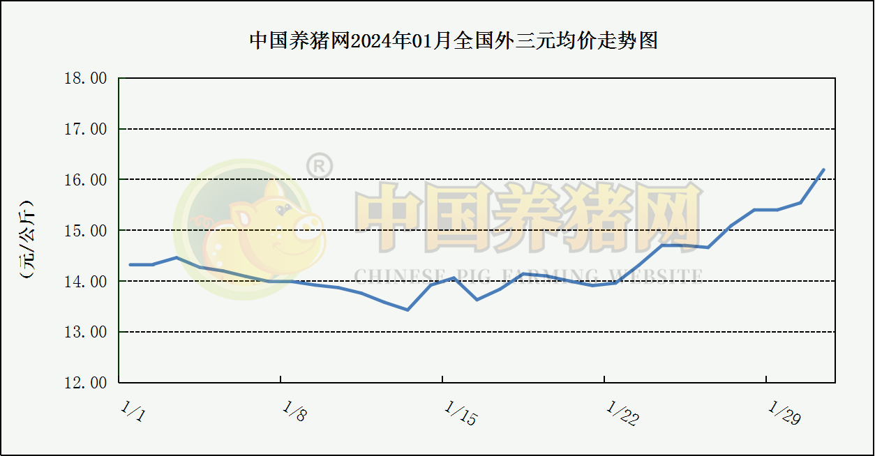 中国养猪网