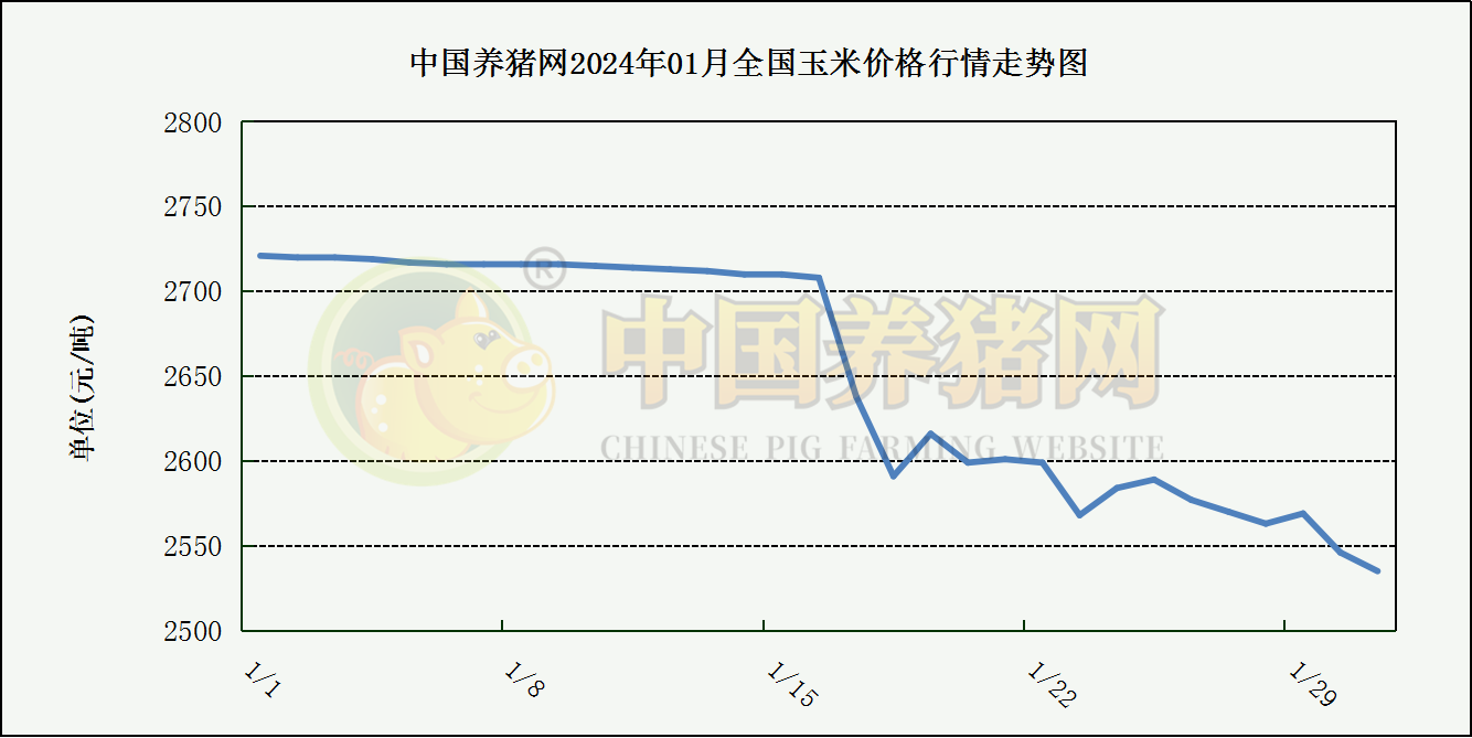 中国养猪网