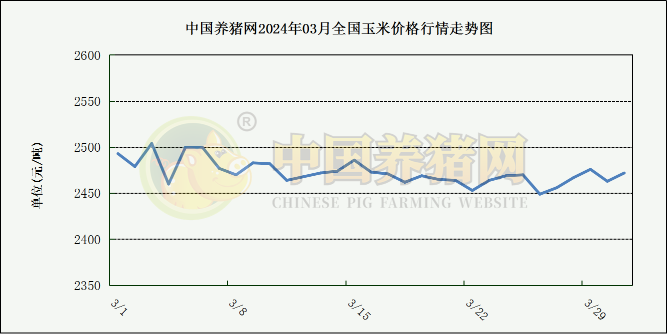 中国养猪网