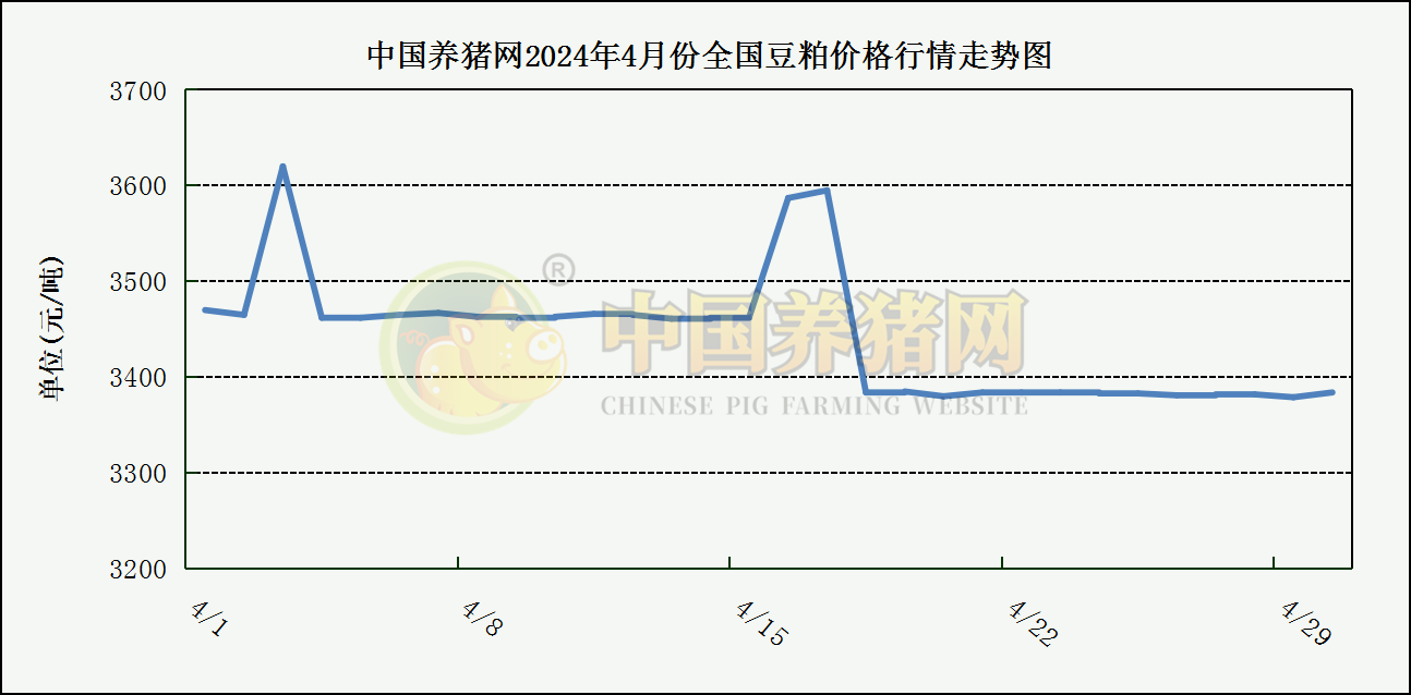 中国养猪网