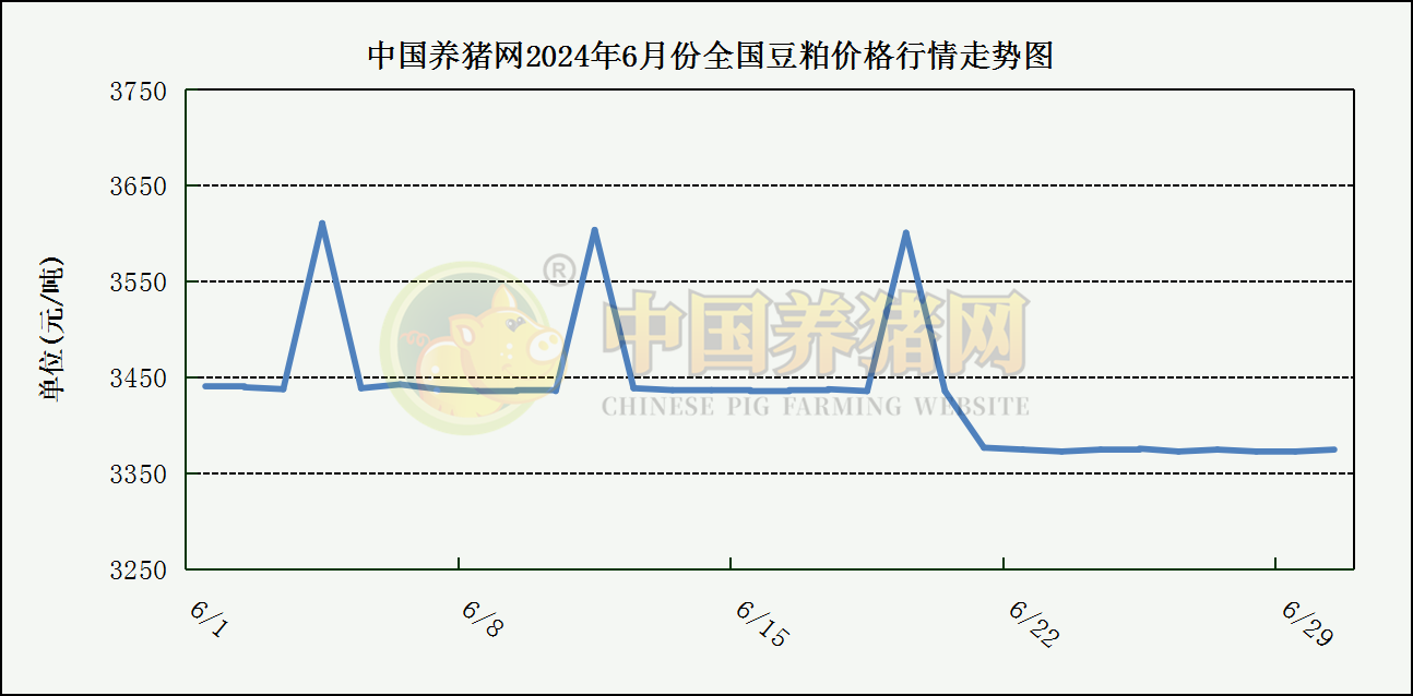 中国养猪网