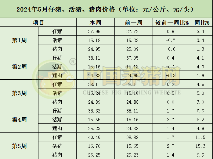 中国养猪网