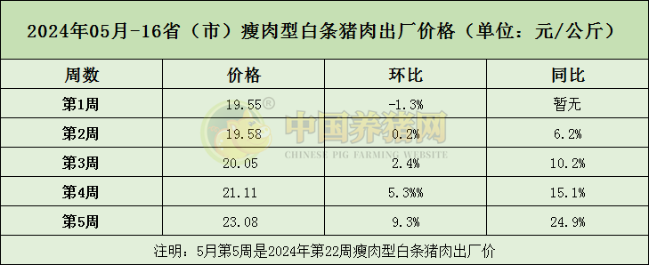 中国养猪网