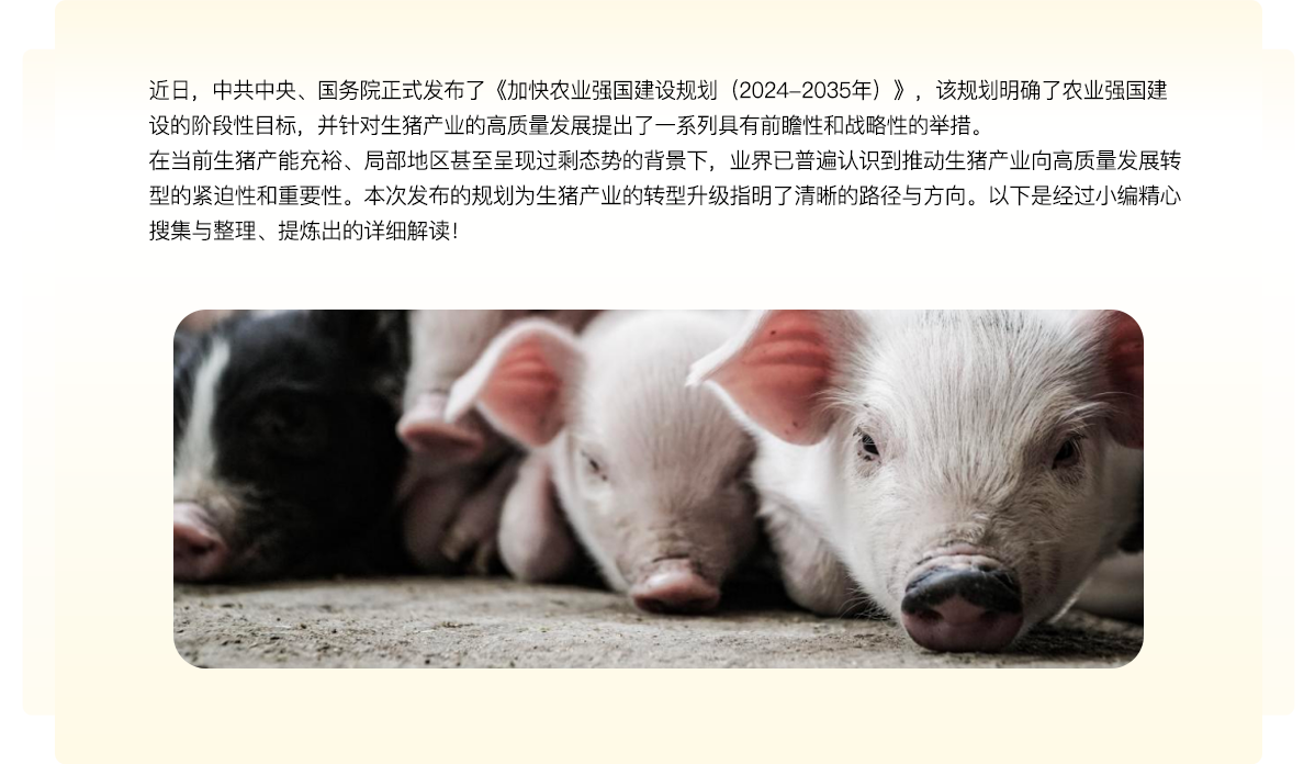 中国养猪网