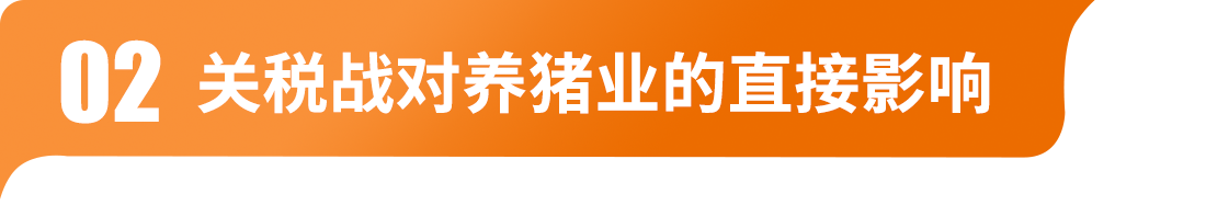 中国养猪网