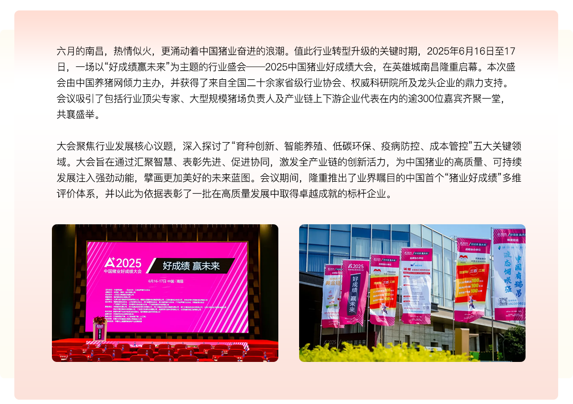 中国养猪网