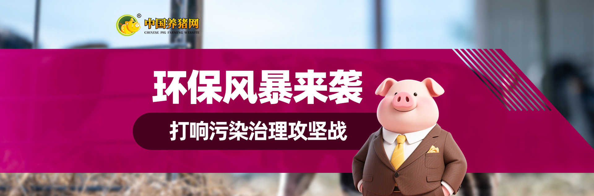 中国养猪网