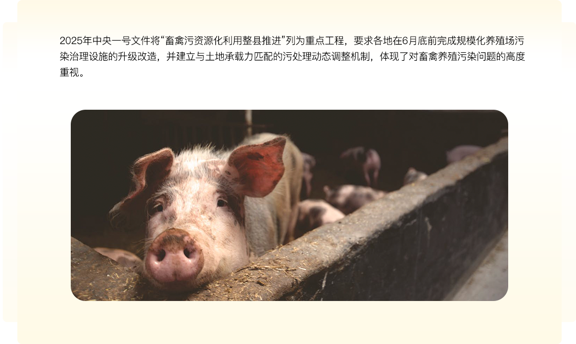 中国养猪网