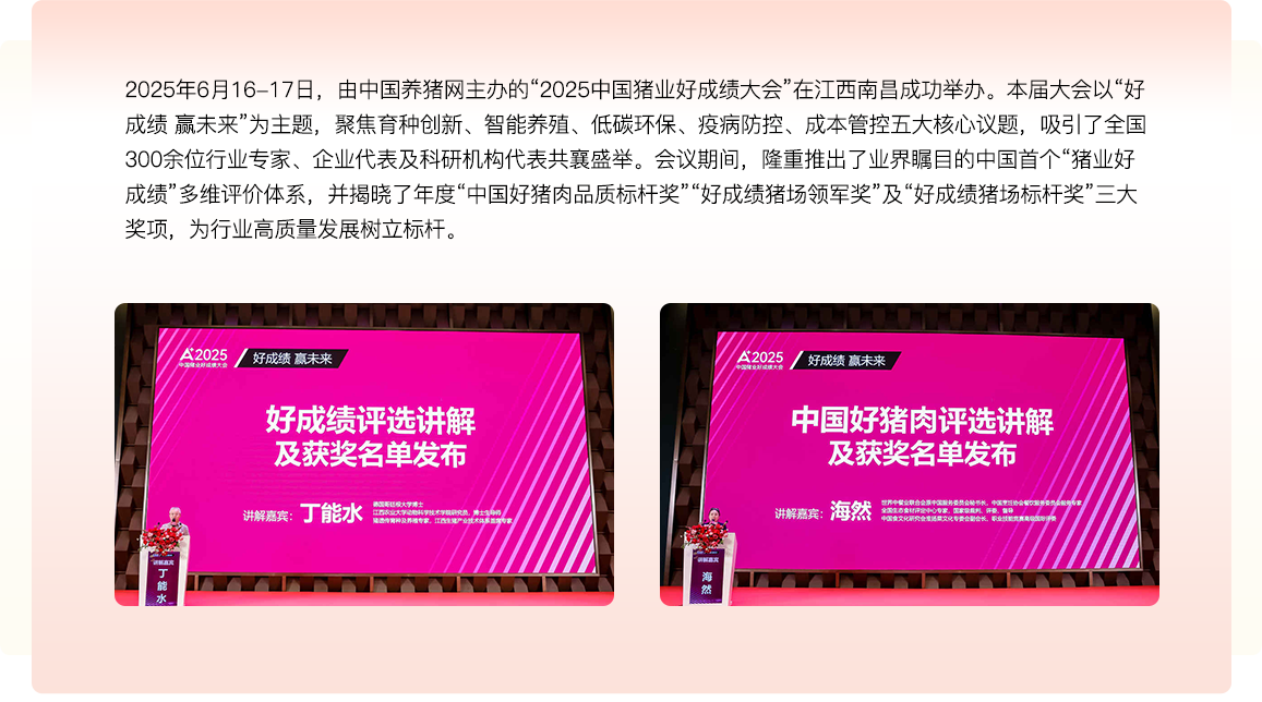 中国养猪网