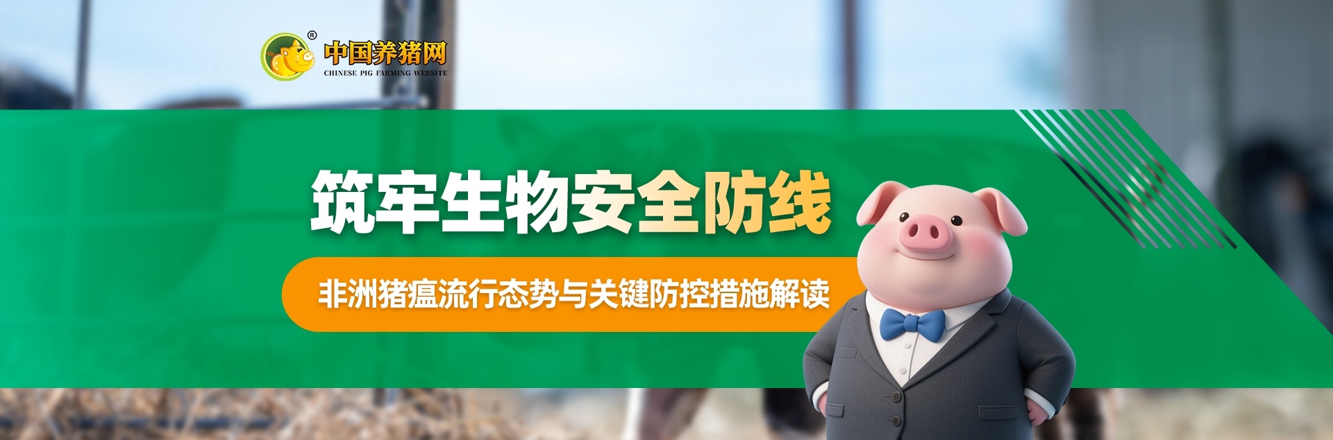 中国养猪网