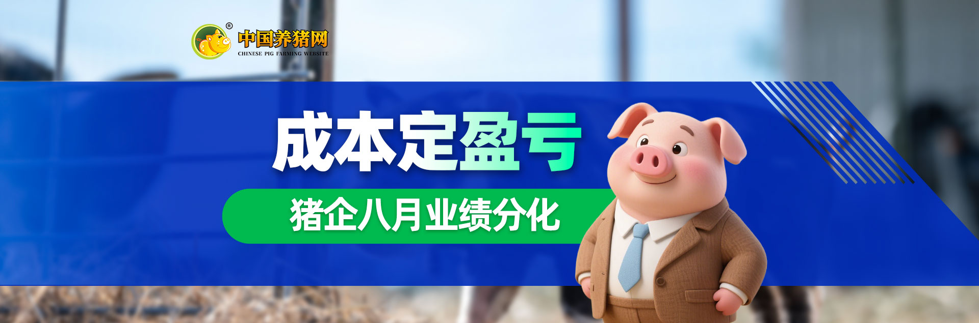 中国养猪网