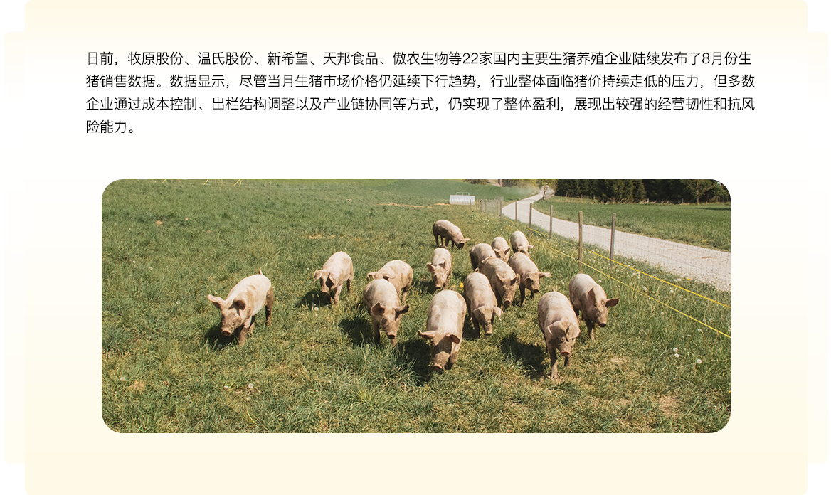 中国养猪网