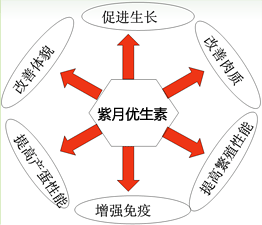 紫月优生素主要功效